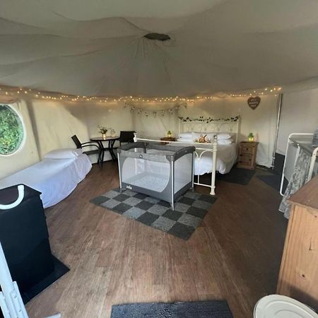 Old Dairy Farm Glamping Hotel Emsworth Ngoại thất bức ảnh