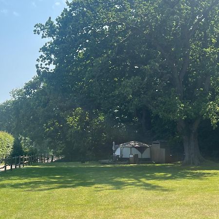 Old Dairy Farm Glamping Hotel Emsworth Ngoại thất bức ảnh